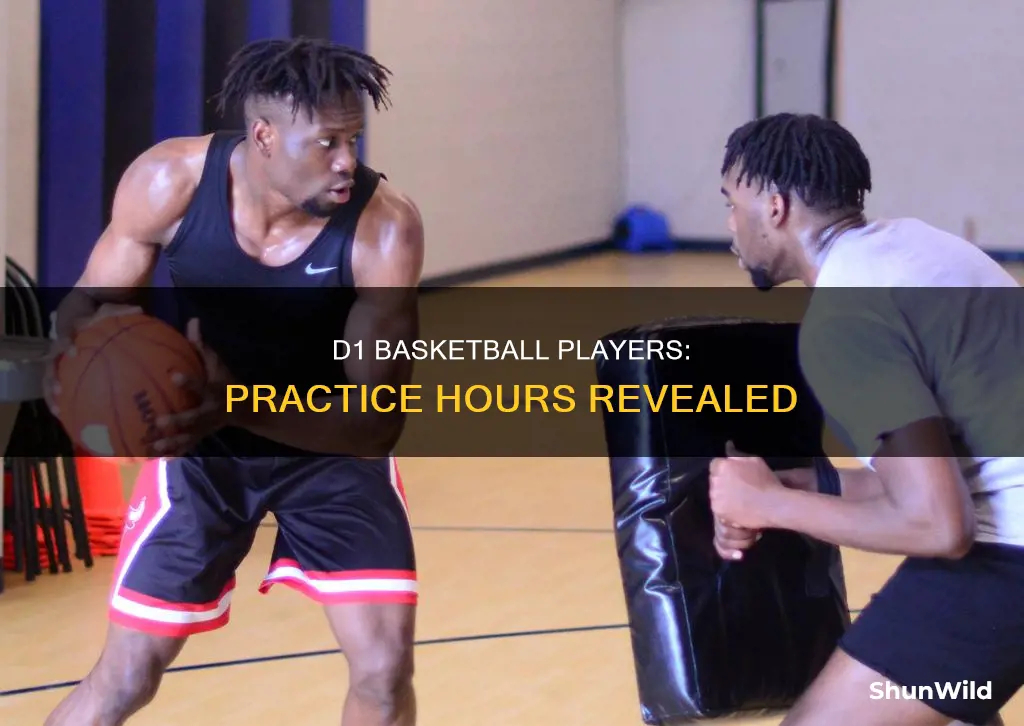 how many hours do division 1 basketball athletes practice
