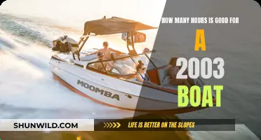 Understanding Optimal Engine Hours for a 2003 Boat