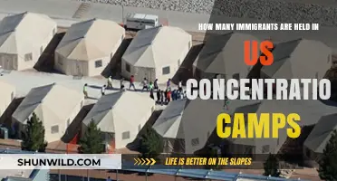 Detained Immigrants in US Camps: Unveiling the Hidden Crisis