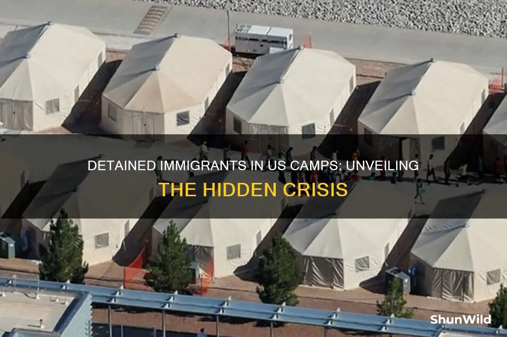 how many immigrants are held in us concentration camps