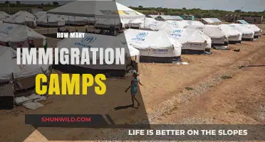 Exploring the Number of Immigration Camps Worldwide: A Comprehensive Overview