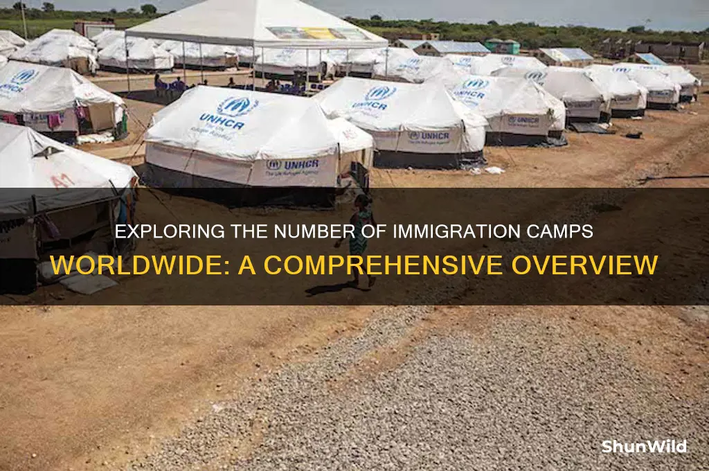 how many immigration camps