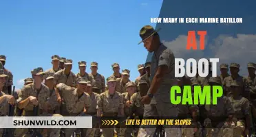 Marine Boot Camp Battalion Sizes: Understanding Recruit Numbers and Training Dynamics