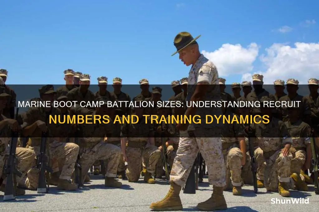 how many in each marine batillon at boot camp