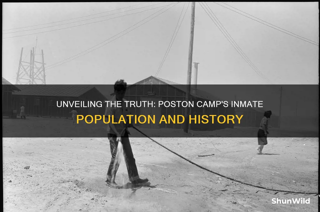 how many in poston camp