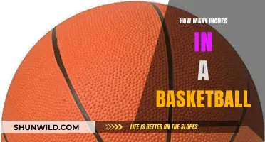 The Size of a Basketball: Inches and Regulation