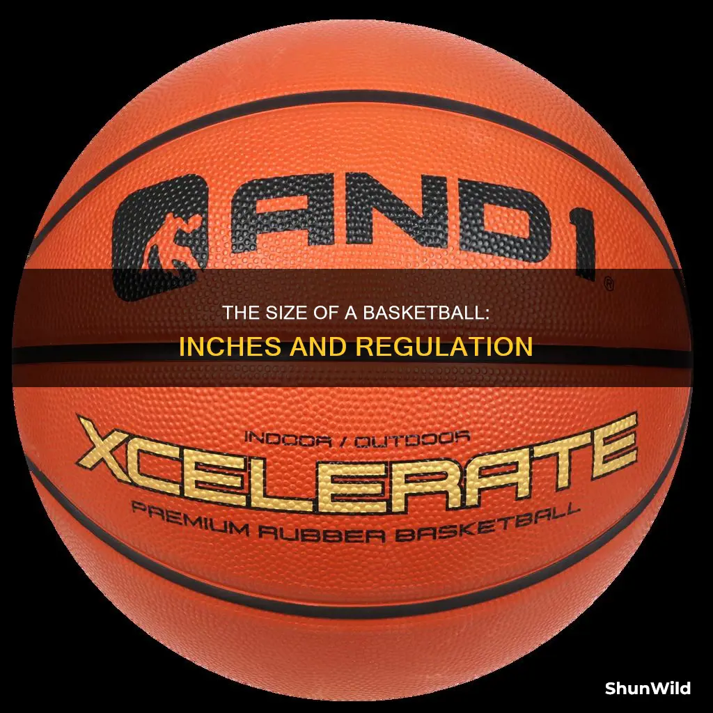 how many inches in a basketball