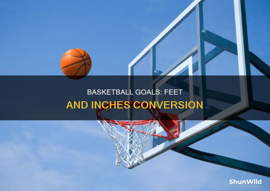 how many inches is a 10 foot basketball goal