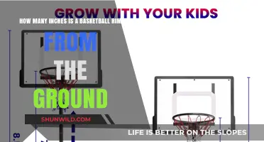 Basketball Rim Height: How High is Too High?