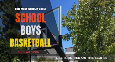 Basketball Hoop Heights for Boys in High School
