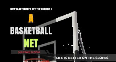 Basketball Net Height: How High Off the Ground?