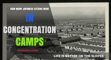 Japanese Citizens in Concentration Camps: Uncovering the Hidden History