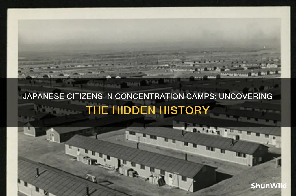 how many japanese citzens were in concentration camps