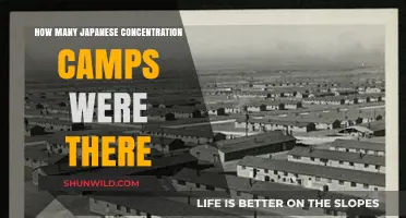 Uncovering the Hidden History of Japanese Concentration Camps