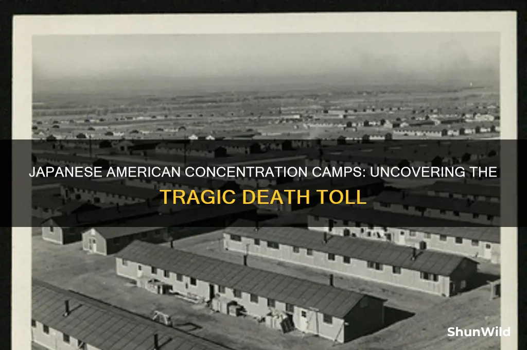 how many japanese died in american concentration camps