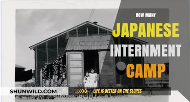 Uncovering the Dark History of Japanese Internment Camps in America