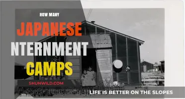 Uncovering the Dark History of Japanese Internment Camps in America