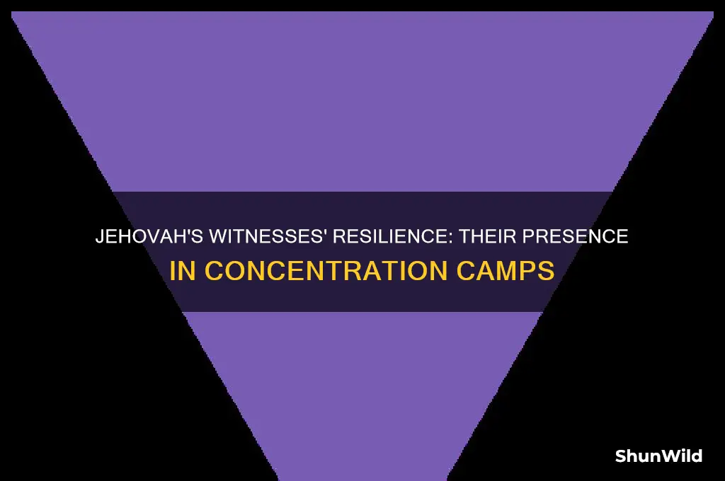 how many jehehovah witnesses were in the concentration camps