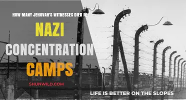 Jehovah's Witnesses' Sacrifice: Martyrs in Nazi Concentration Camps
