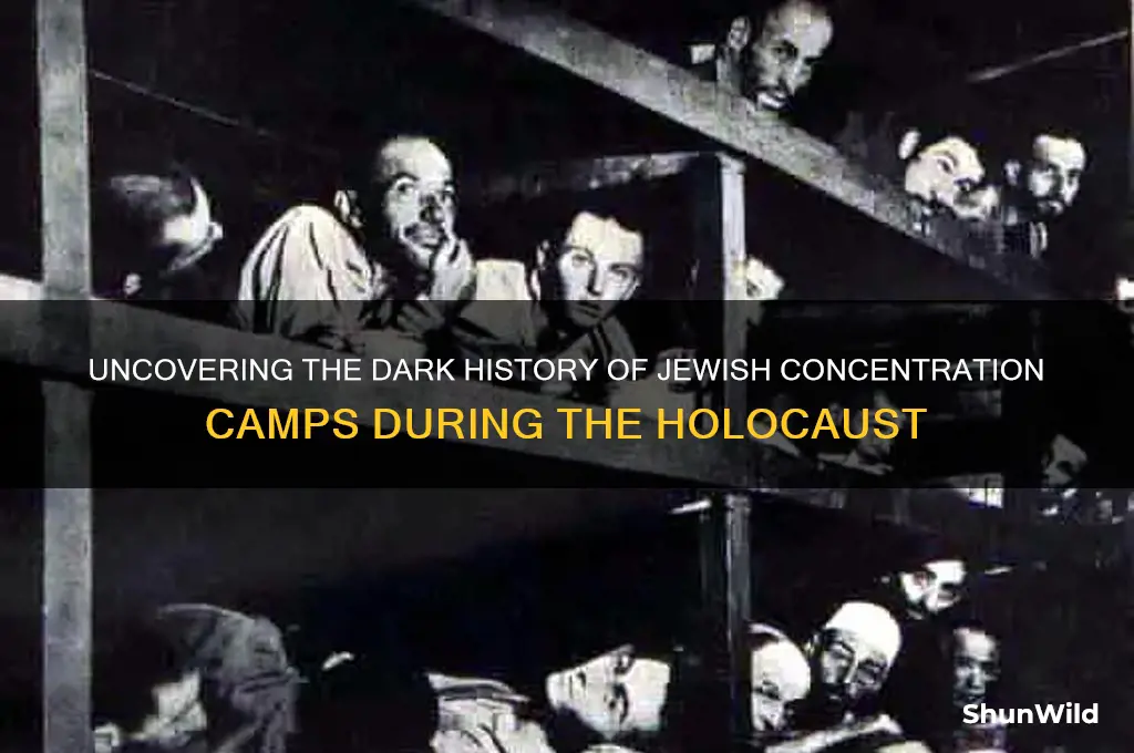 how many jewish concentration camps