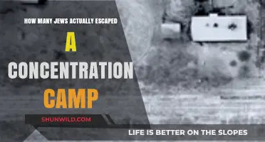 Escaping the Holocaust: Uncovering Jewish Survivors from Concentration Camps