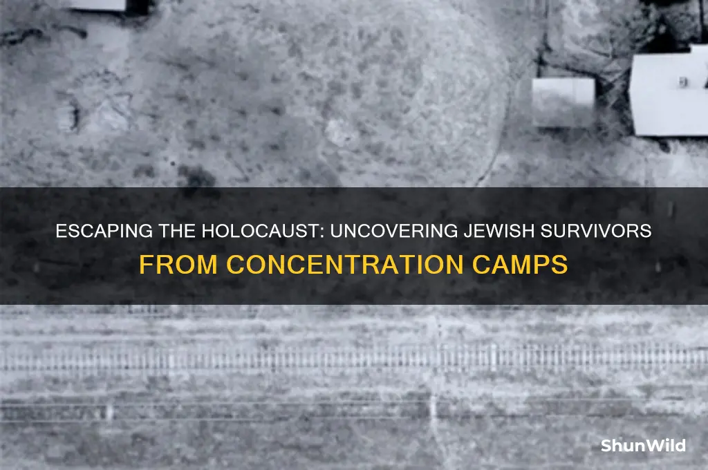 how many jews actually escaped a concentration camp