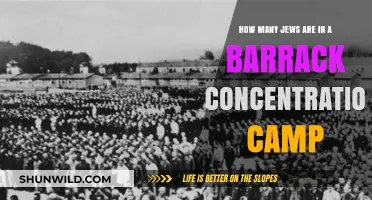 Understanding the Occupancy of Barracks in Concentration Camps During the Holocaust