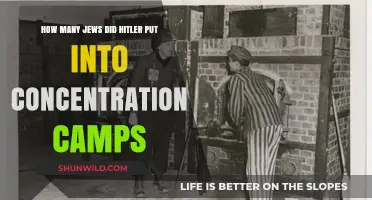 Hitler's Concentration Camps: The Devastating Toll on Jewish Lives