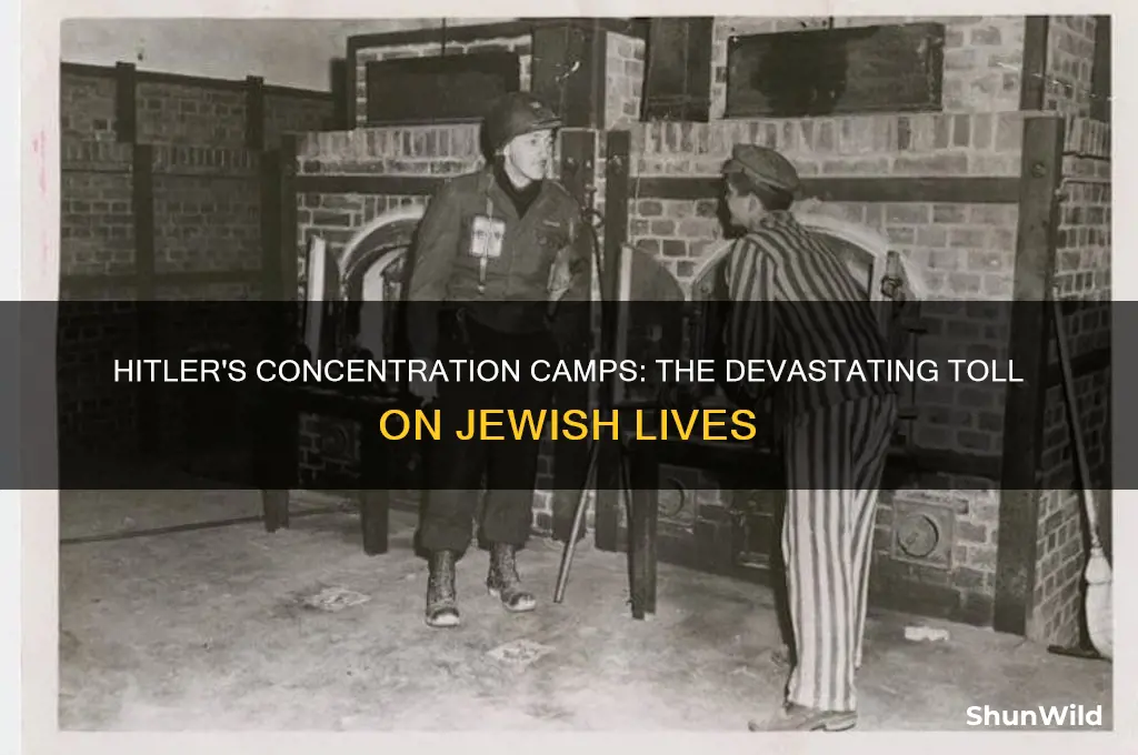 how many jews did hitler put into concentration camps