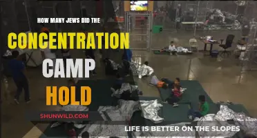 Concentration Camps: Unveiling the Devastating Jewish Prisoner Population