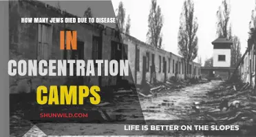Disease's Deadly Toll: Jewish Lives Lost in Concentration Camps