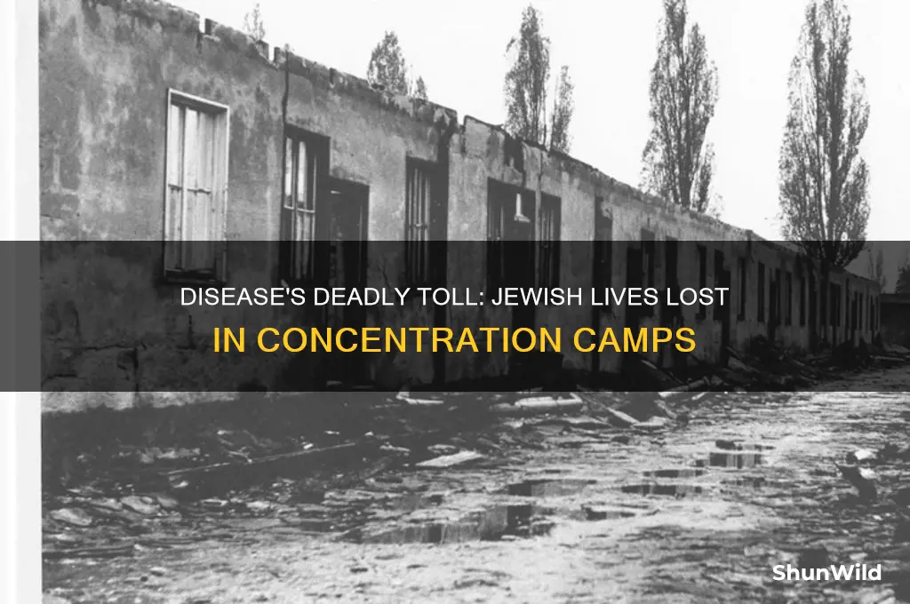 how many jews died due to disease in concentration camps