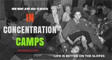 Deadly Diseases in Concentration Camps: Jewish Victims and Their Untold Stories