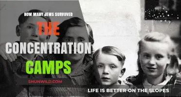Surviving the Holocaust: Jewish Resilience in Concentration Camps