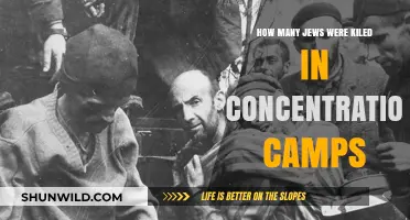The Holocaust's Devastation: Jewish Lives Lost in Concentration Camps