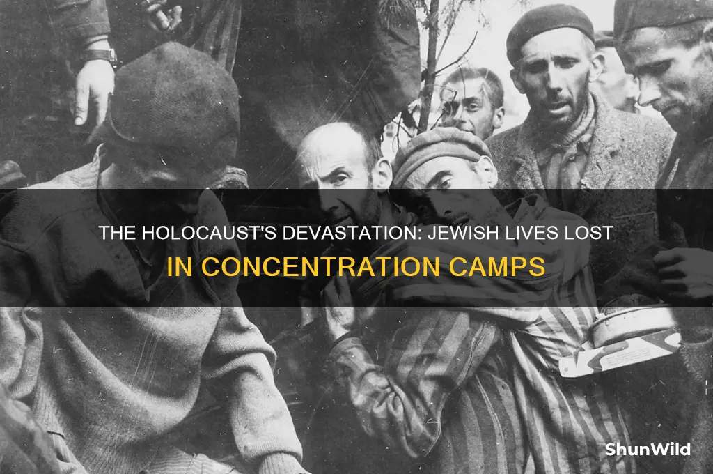 how many jews were kiled in concentration camps