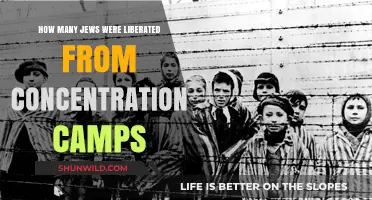 Liberation from Nazi Camps: The Jewish Survivors' Untold Story