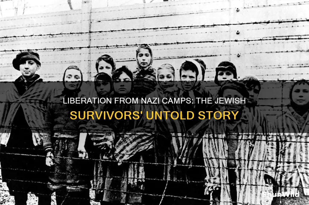 how many jews were liberated from concentration camps