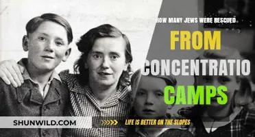 Rescued from the Holocaust: Counting Jewish Survivors of Concentration Camps