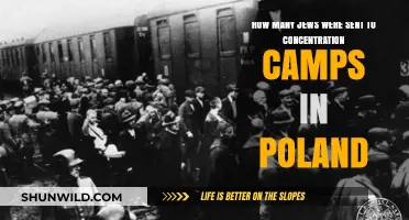 Poland's Concentration Camps: The Devastating Toll on Jewish Lives