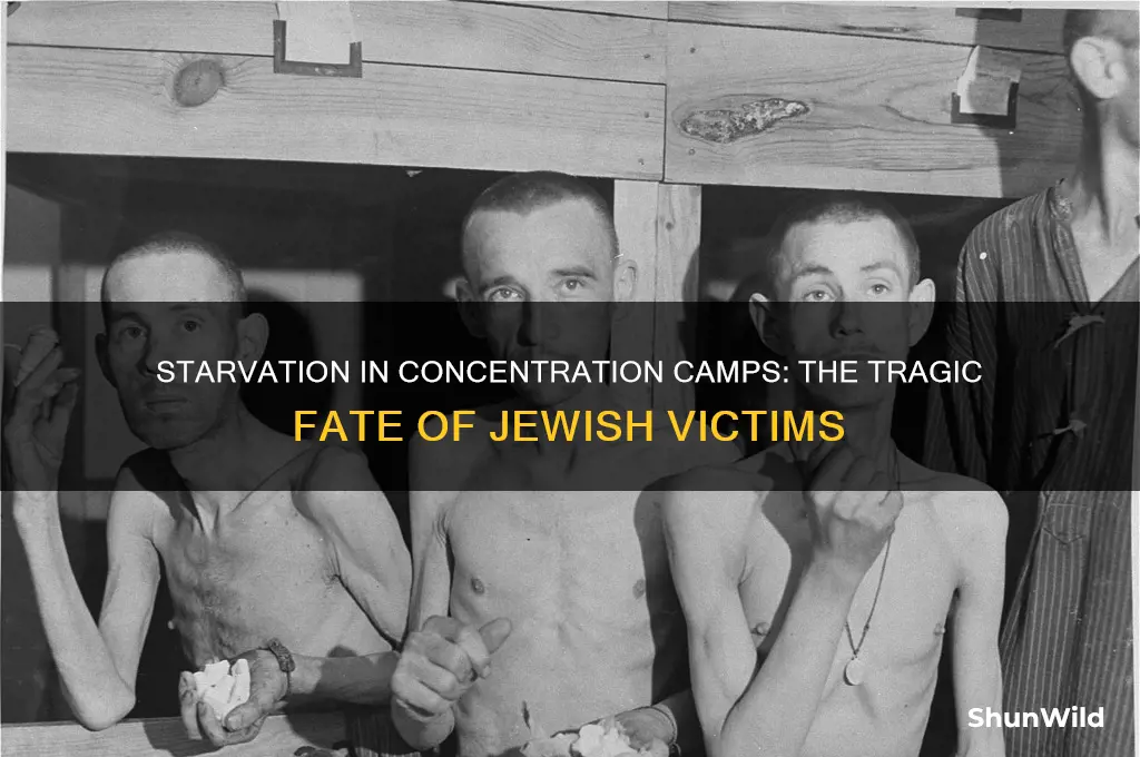 how many jews were starved to death in concentration camps