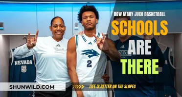 Exploring the Landscape of Juco Basketball: A Comprehensive Guide