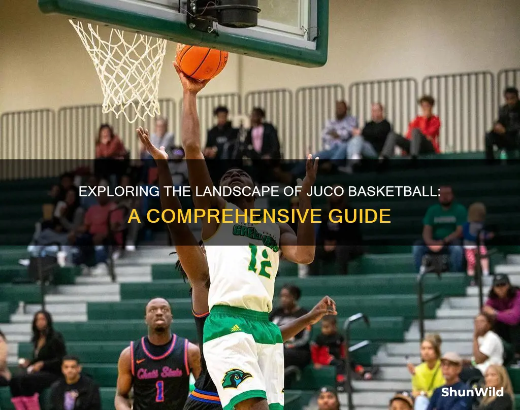 how many juco basketball schools are there