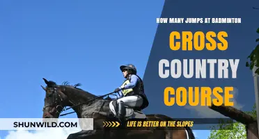 Badminton's Jumps: A Tricky Course