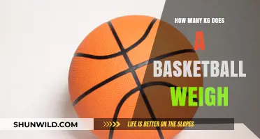 Basketball Weights: How Many Kilograms?
