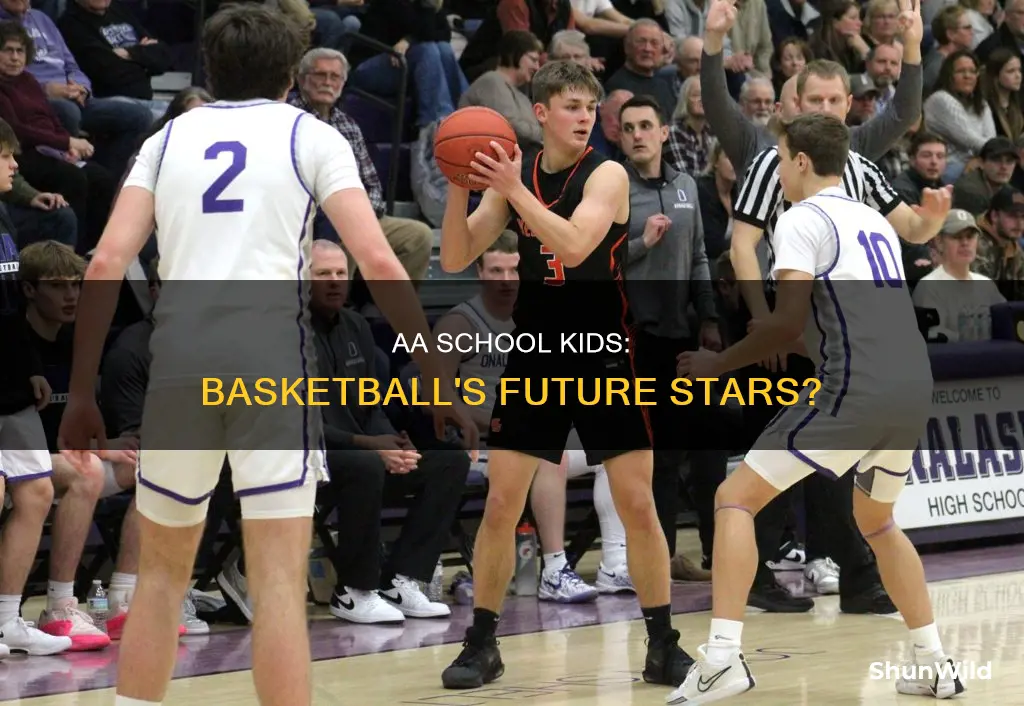 how many kids in aa schools mshl basketball