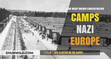 Uncovering Nazi Europe's Dark Legacy: Known Concentration Camps Revealed