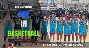 Leagues in Basketball: How Many Are There?