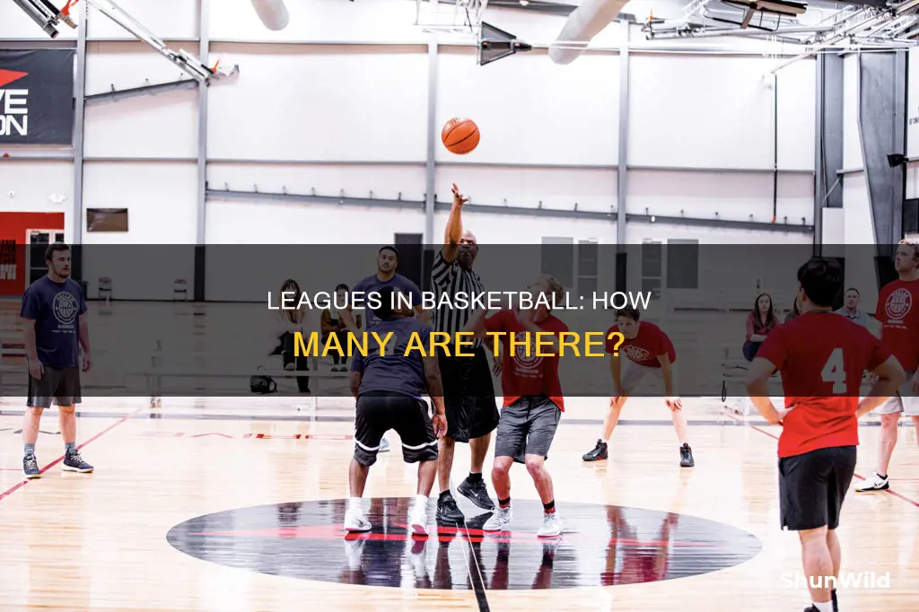 how many leagues are in basketball