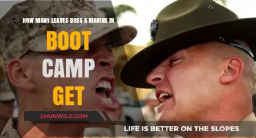 Marine Boot Camp Leave Policy: Understanding Time Off for Recruits